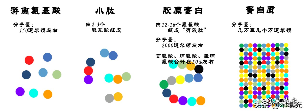 吉林胶原蛋白肽科普,燕窝胶原蛋白肽知识科普