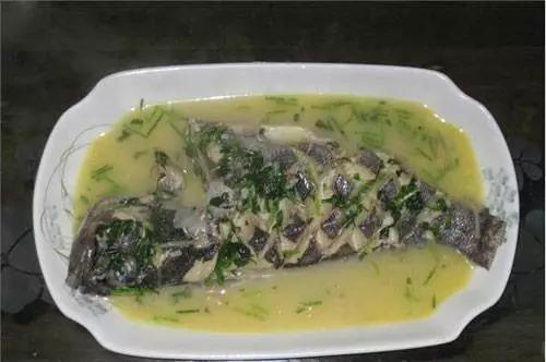 淡水鱼里面黑鱼是不是最厉害的,淡水鱼最强的是黑鱼吗