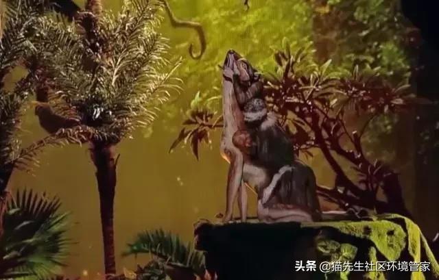 疯狂的裸体彩绘|这世间事十有八九都与垃圾分类有关