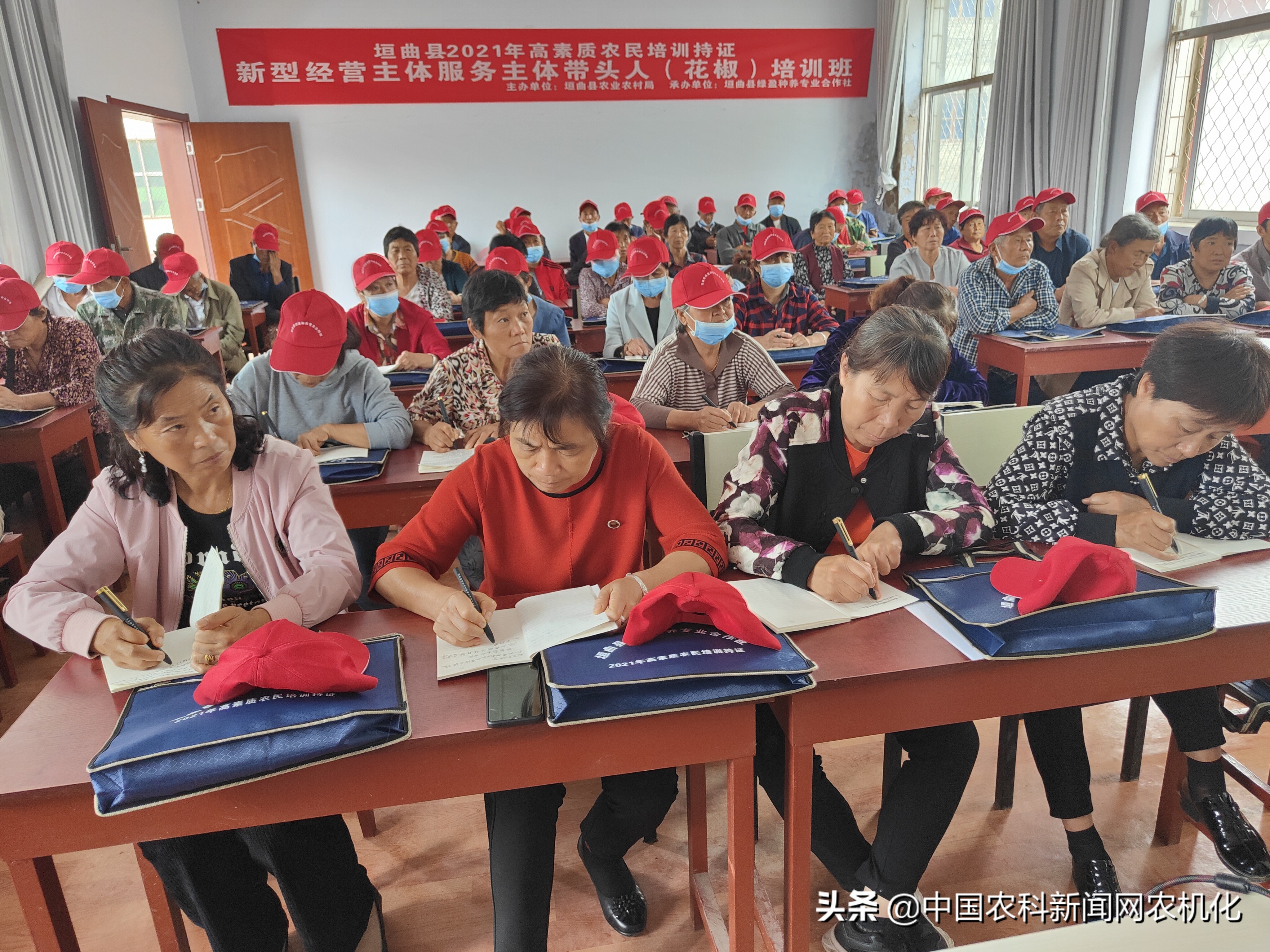 种植花椒的技术研究,致富经花椒种植新技术