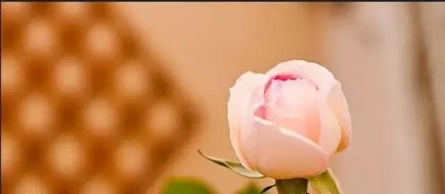 每天学习一点点女性小常识,每天学习一点点科普一下