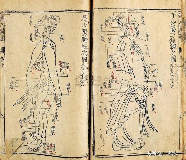 《说文解字》不仅是字典,还是上古知识的百科全书