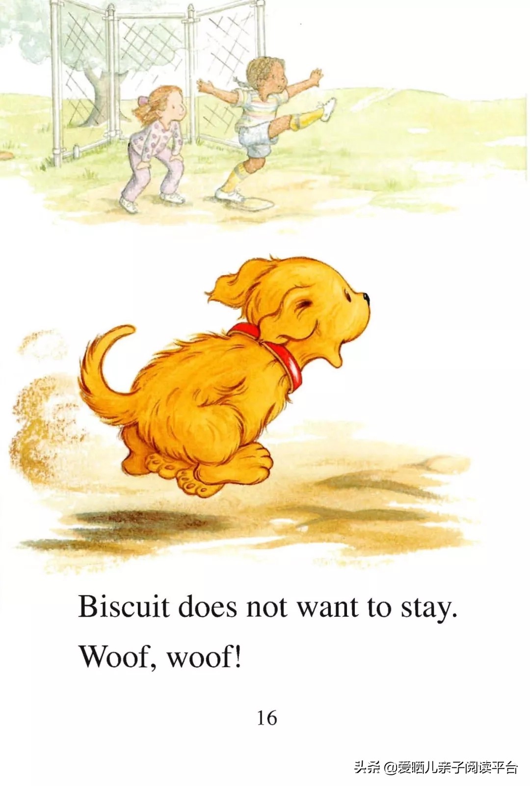 英文有声绘本《BiscuitPlaysBall》