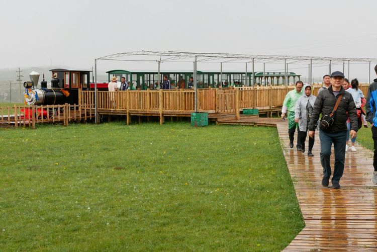 内蒙黄花沟草原游记,黄花沟草原介绍