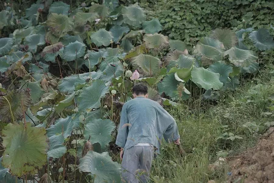央视挖出来浙江冷门小城，小小鸭头都是世间绝味，人均100+住别墅