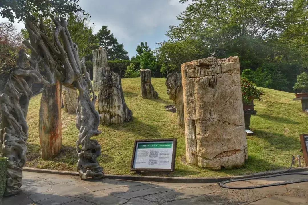 济州岛自由行详细攻略,济州岛自由行超实用攻略
