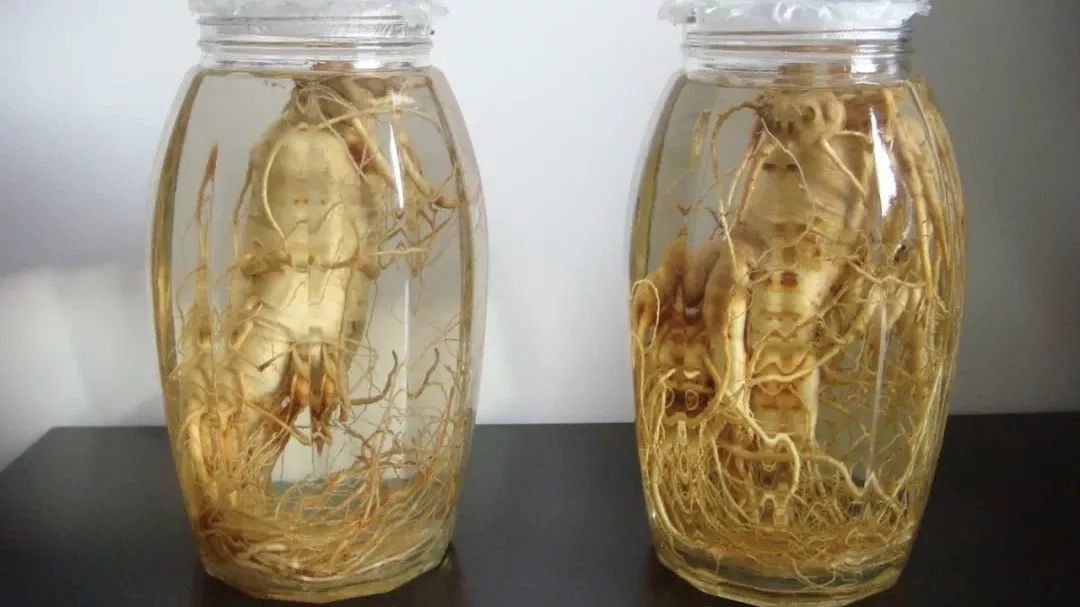 长白山鲜人参煲鸡,长白山精品袋装鲜人参炖鸡