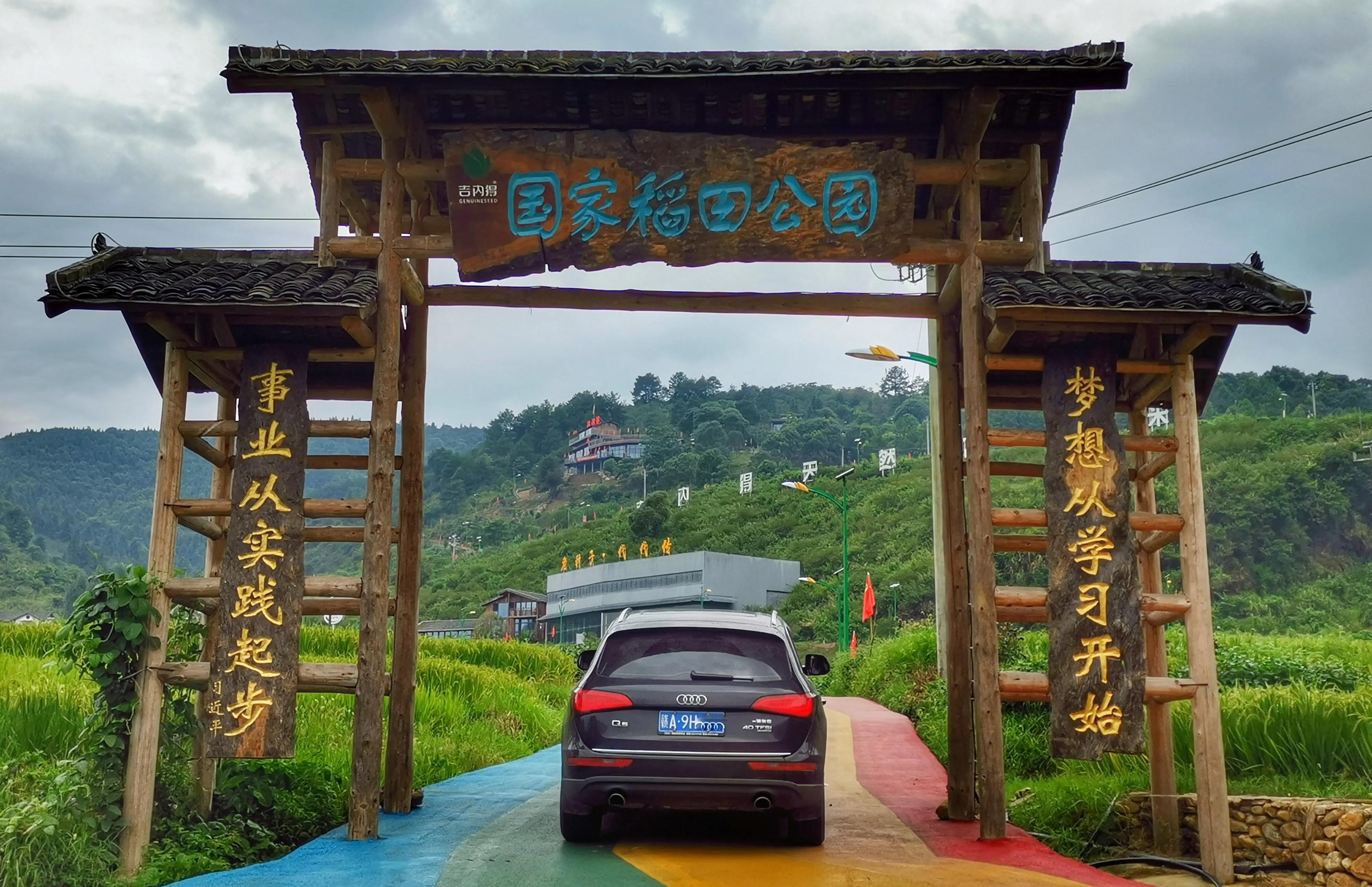 你会去莲花玩吗？我找到了3个“趣味点”，玩了一次跟着喜欢走