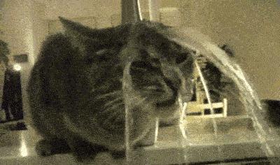 百元平价到千元的护肤品,百元大牌化妆品是真的吗