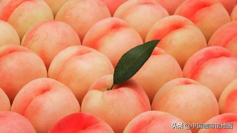 瑞幸桃桃 (瑞幸桃桃系列测评)