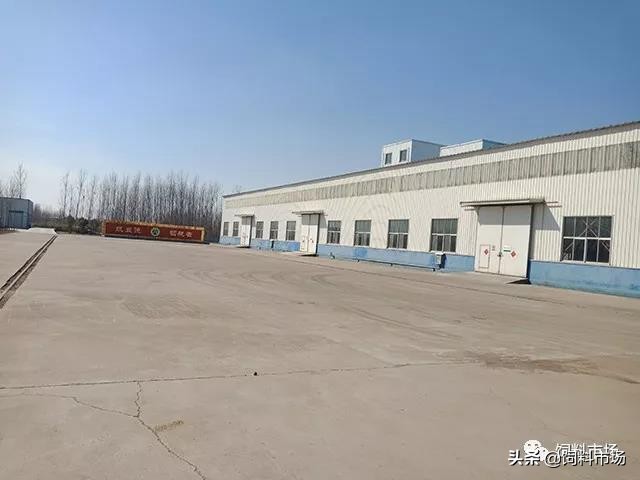 十大无抗饲料排名,绿色无抗饲料