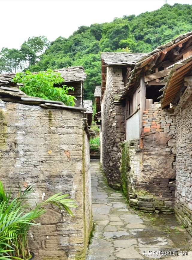 去除夏日蚊子的生活妙招,花园去除蚊子的小妙招