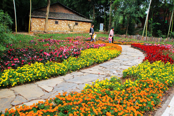 鄱湖之滨美景图,鄱阳湖之滨