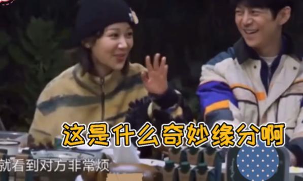 张一山杨紫斗嘴视频完整版,张一山杨紫友谊现状