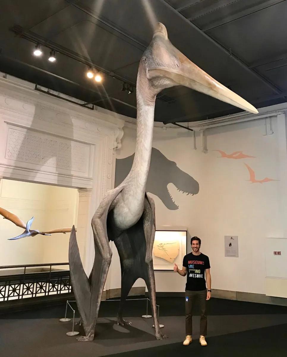 30张活久见的巨物照片,23张令人窒息的照片太像了