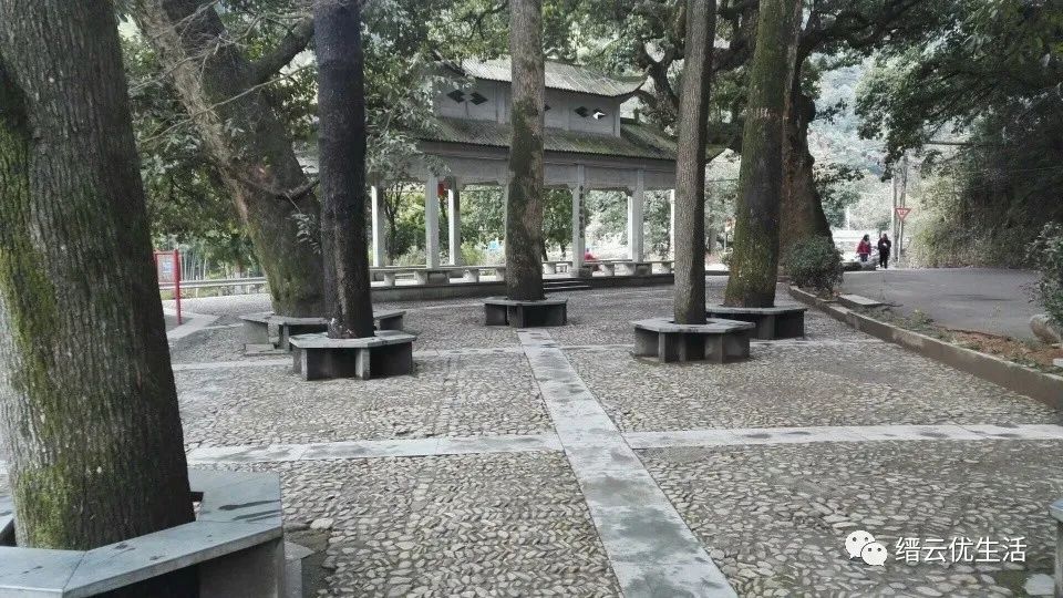 雅宅苦槠豆腐,雅宅苦槠腐