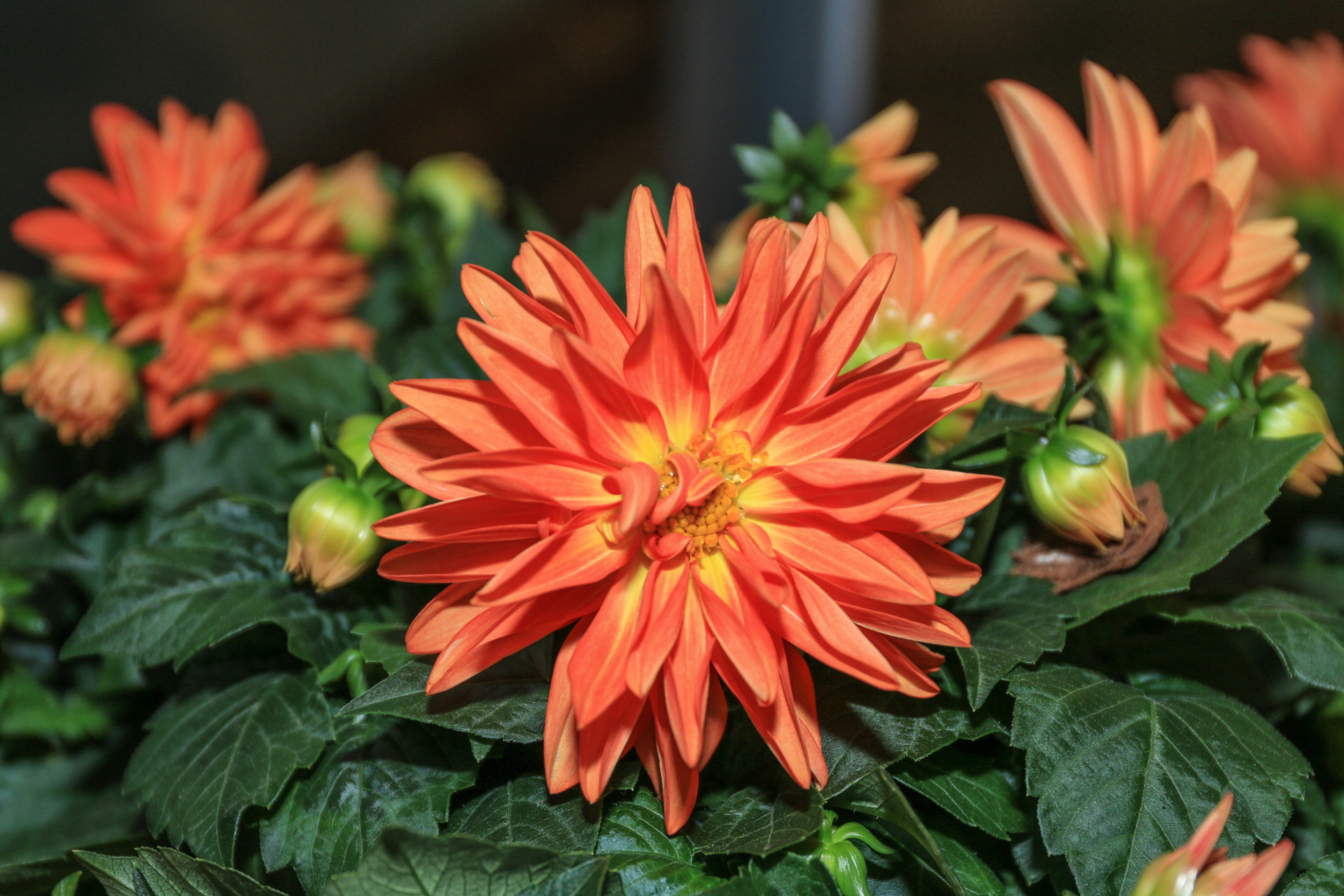 微信好友借钱不还怎么办,微信上借钱给别人不还怎么办