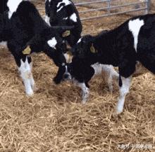 学会这招不愁找不到女朋友,学会这几招不怕找不到女朋友