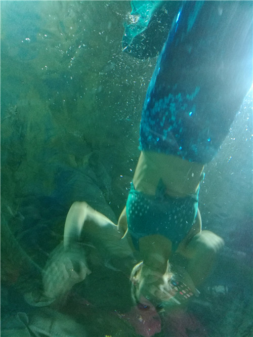 富国海底世界一日游,游富国海底世界