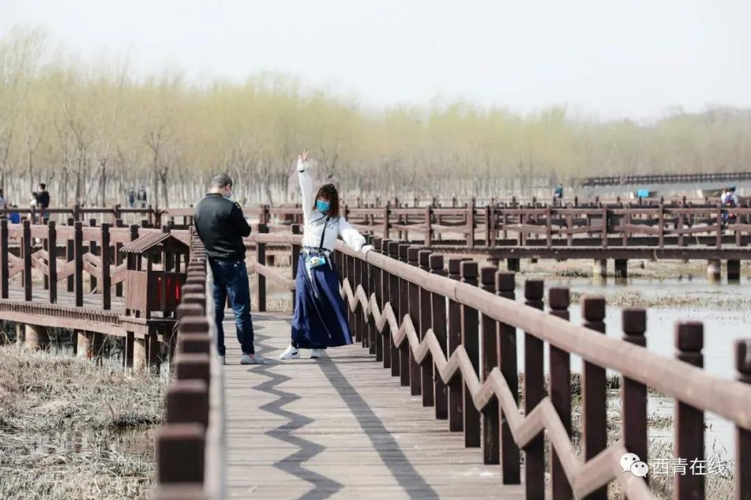 天津2022哪些公园恢复开放,天津水西公园现在恢复开放了吗