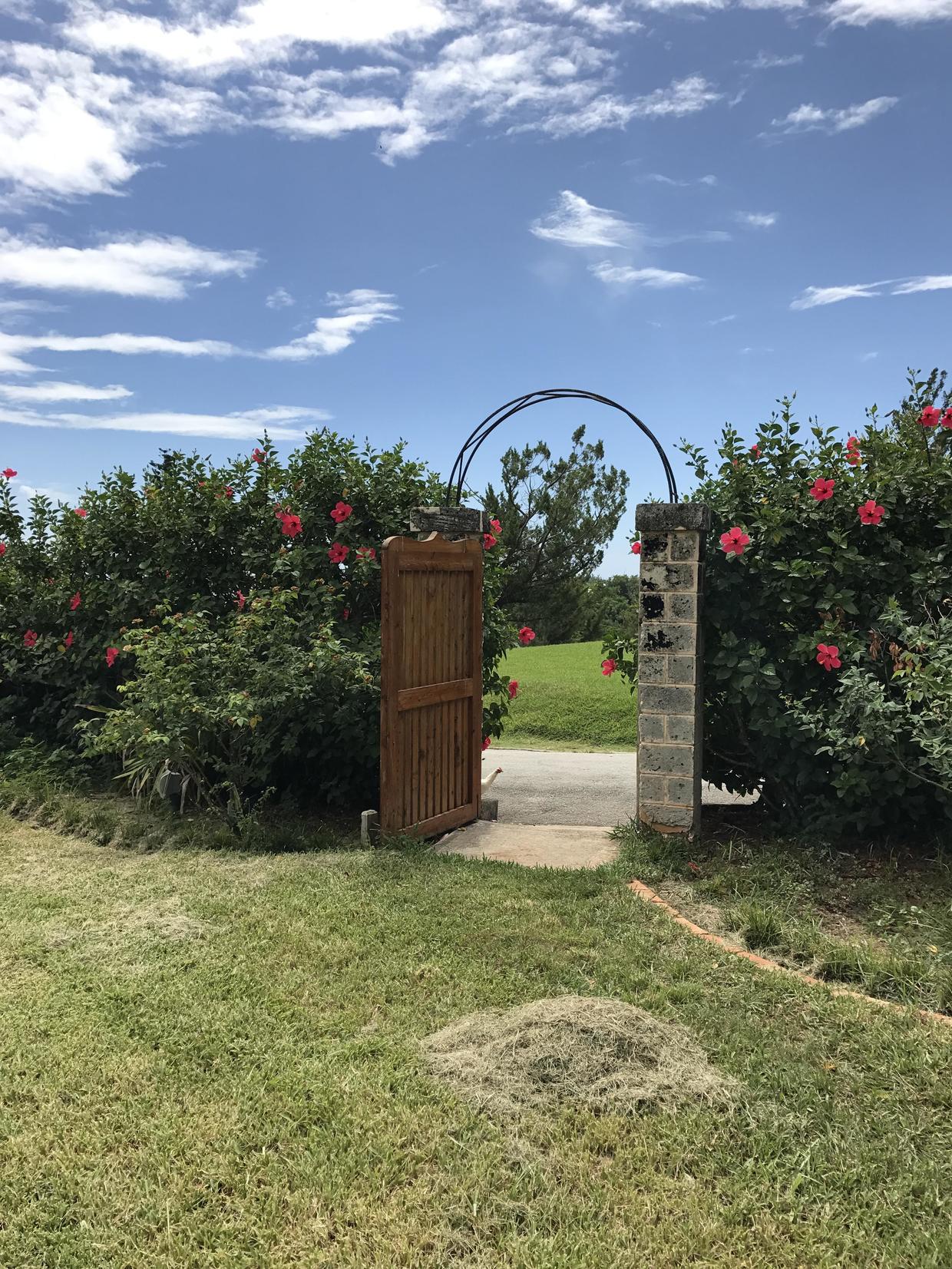 阳光、沙滩、风景美如画，马克·吐温口中的人间天堂长什么样？