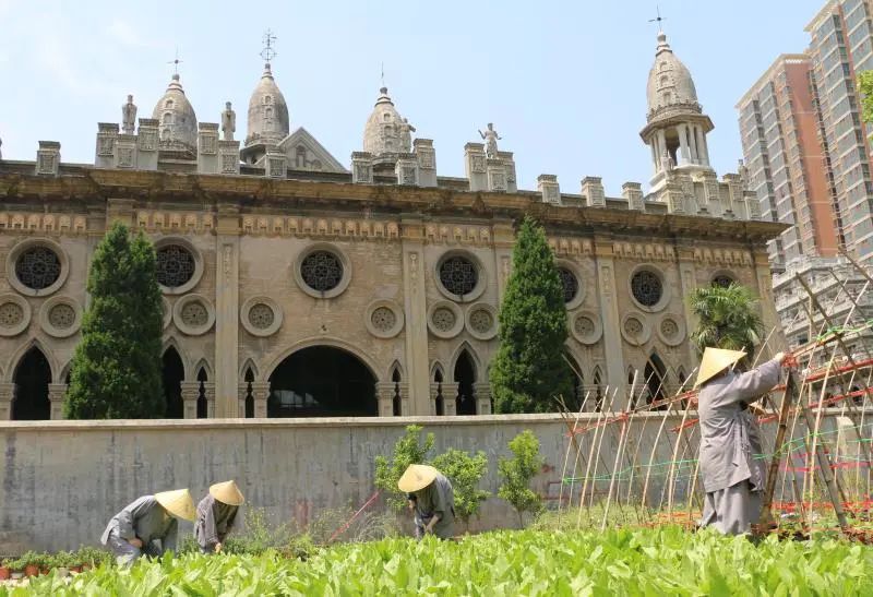 抢抓农时开展农业生产,农民纷纷抢抓春耕生产有利时机