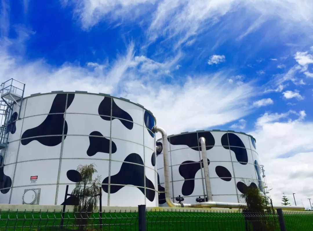 谁说国货不如进口好,谁说国货不如洋货作文