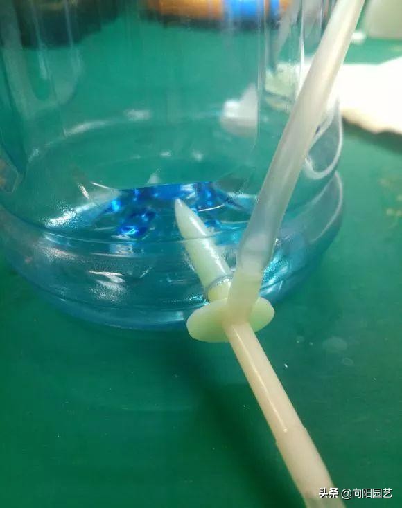 在家里怎么自制一个自动浇水装置,自制简单自动浇水神器美观