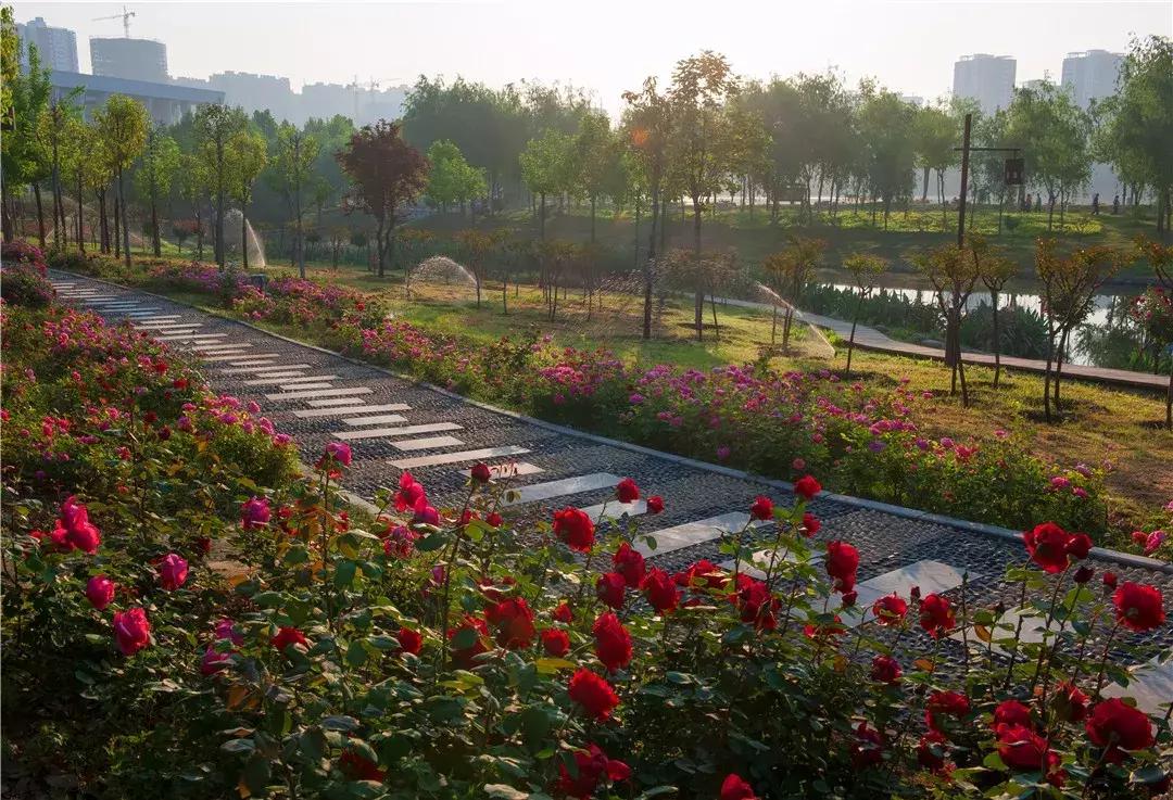 中国最美绿道全景,环城生态公园环线100公里一级绿道