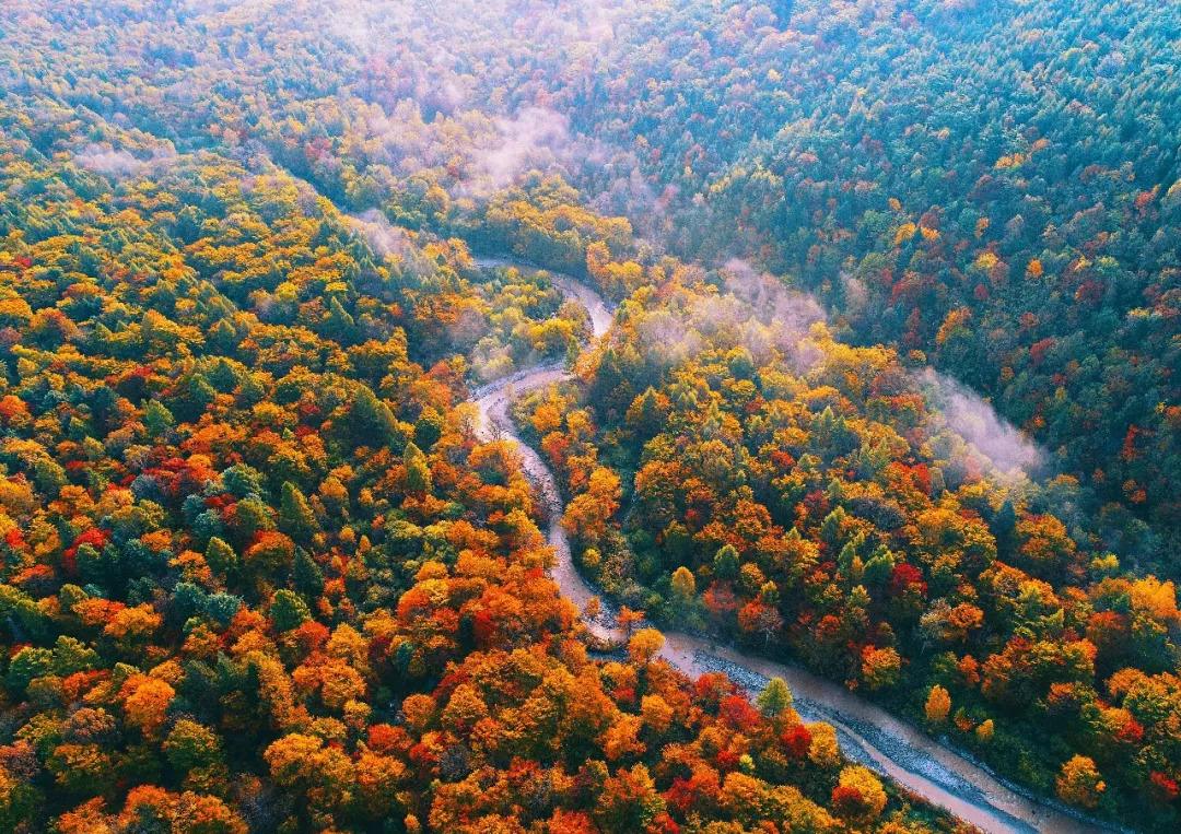 为啥长白山的人参有名,长白山人参煲什么最好