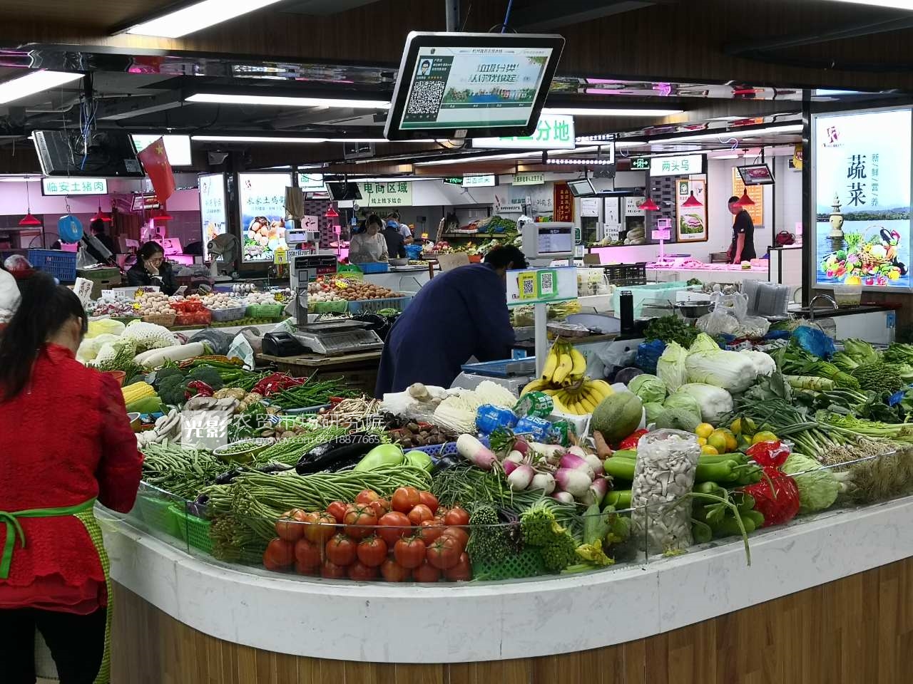 追踪一棵白菜：三个名儿三个价儿怎么来的