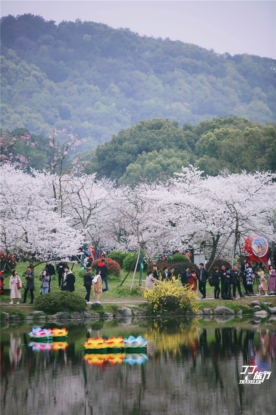 武汉东湖樱花园是世界几大樱花园,世界三大樱花园