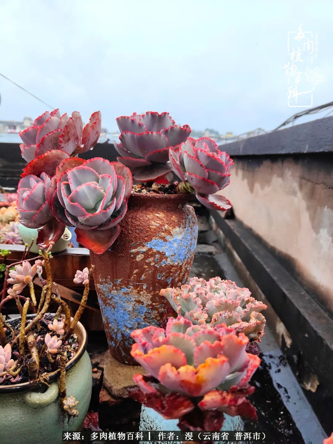 风过留痕讲的啥,风过留痕朗诵