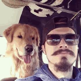 狗狗脾气变暴躁的原因及解决方法,狗狗脾气不好总咬人怎么回事