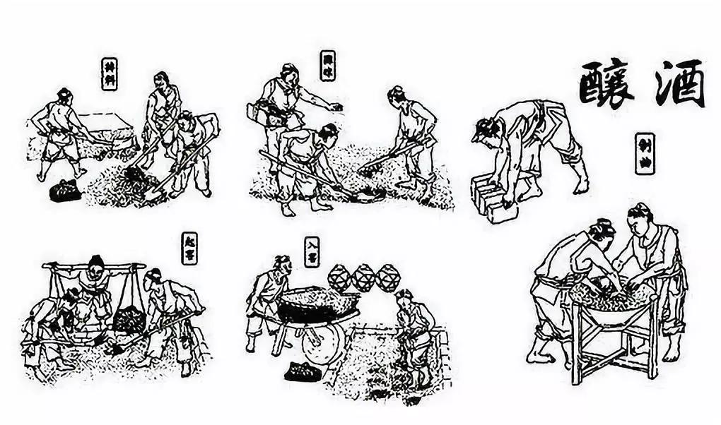 浓香大曲酿酒工艺流程,酿酒技术专业了解