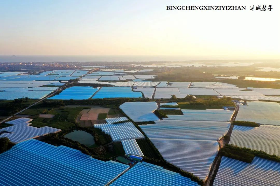 海南乐东九所康养度假村,海南乐东九所康养基地有哪些