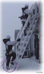 韩国陆军服役服,韩国陆军师标志