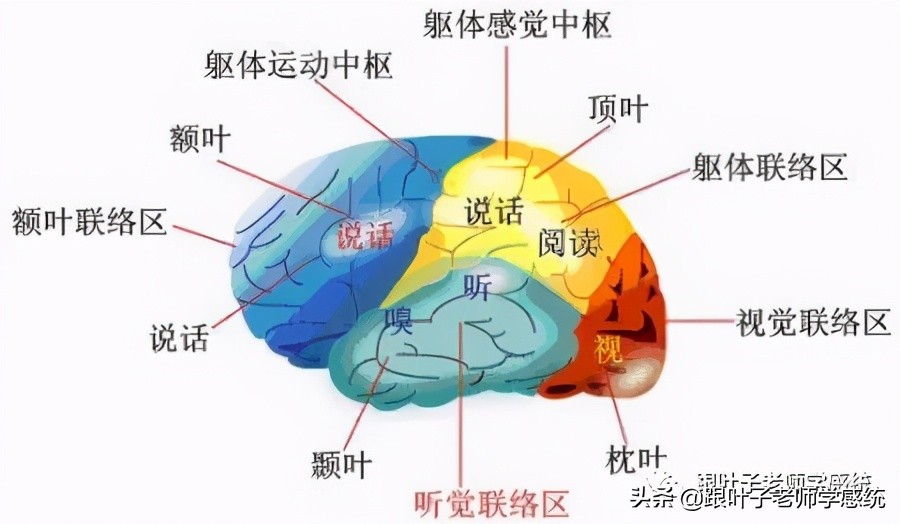 孩子写字难握笔不好怎么办,不会正常握笔字迹潦草