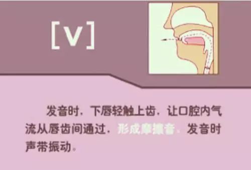 张中军音标发音48个教学视频合集,音标发音48个正确发音讲解视频