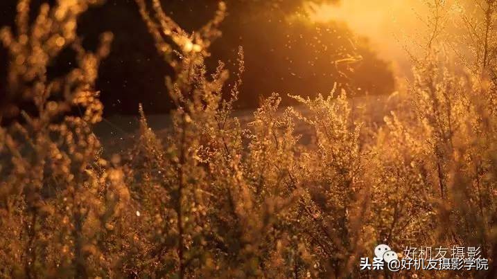 最简单的灯光技巧,简单有效灯光方案