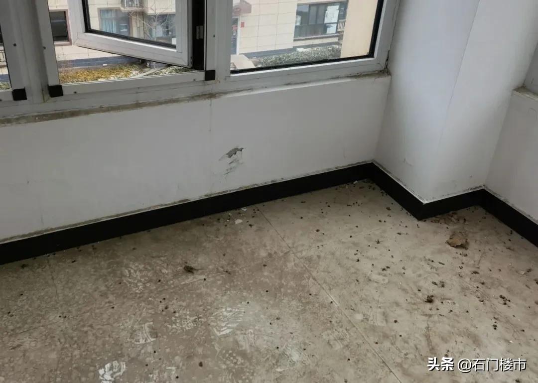 实探现场,实探日本果园