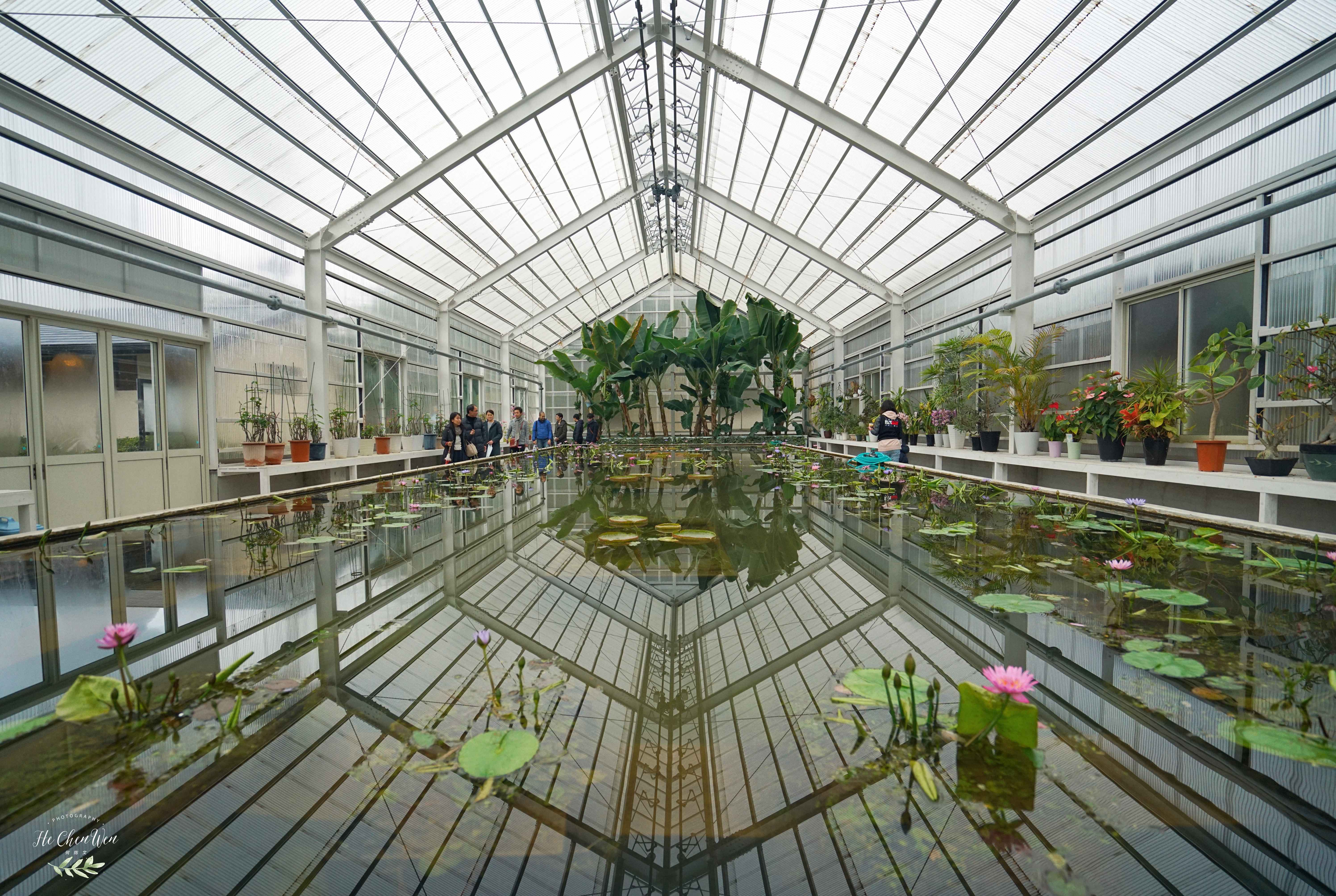 日本地狱温泉是怎么形成的,日本地狱温泉在哪里