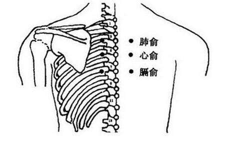 气虚、血虚、气血两虚的三步调理法