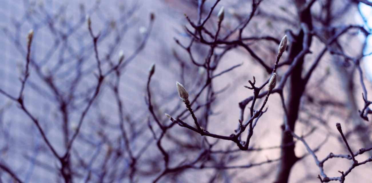 新手入门单反相机推荐10000元左右,摄影小白相机推荐4000价位微单