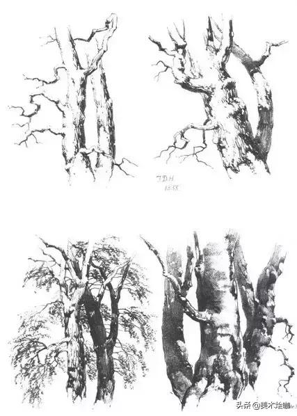 静物素描风景图临摹,简单又好画的彩铅素描风景图