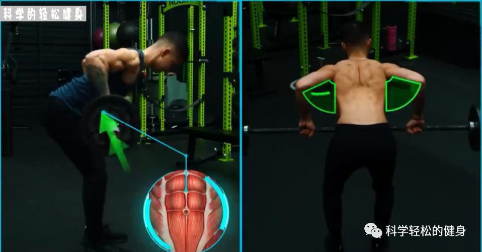 背部肌肉训练计划虐出完美的背肌,背部各个肌肉位置锻炼方法