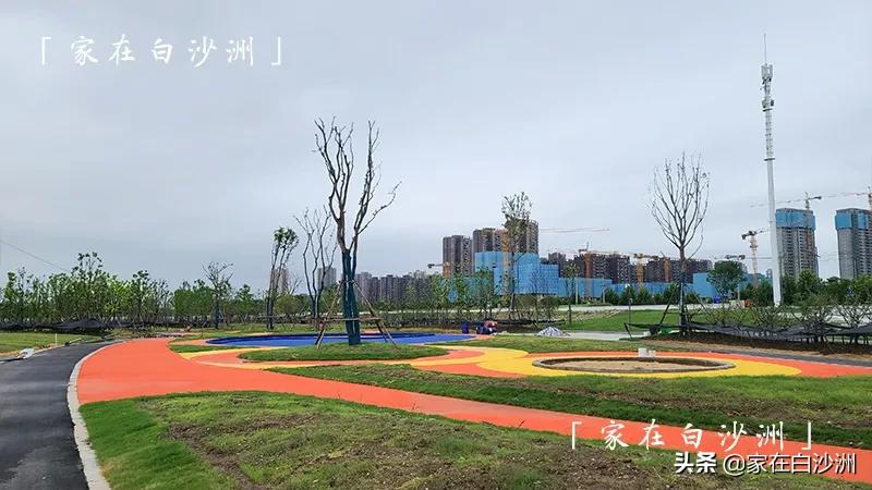 洪山江滩人气旺，口碑却一般，问题出在哪里？