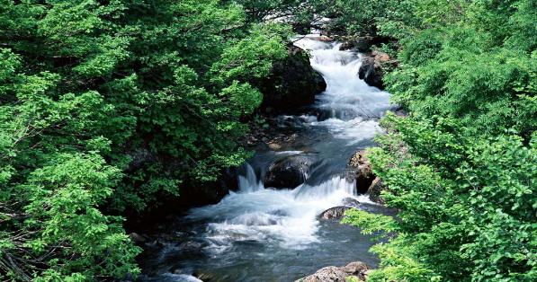现在年轻人多数在做电商发家，还有什么行业更适合年轻人发展？