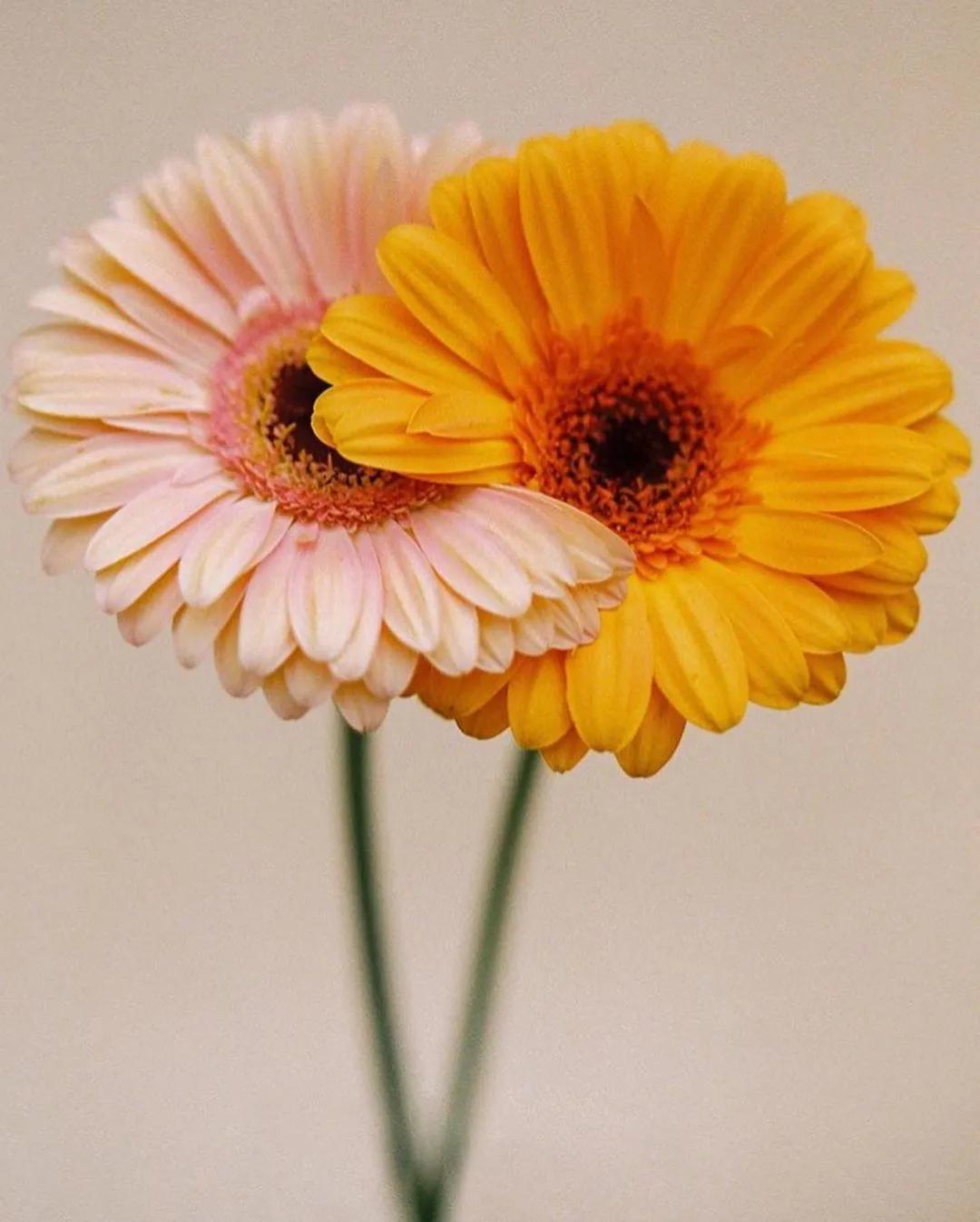 过去与现在你会怎么选择,你会珍惜那个为你流过产的女人吗