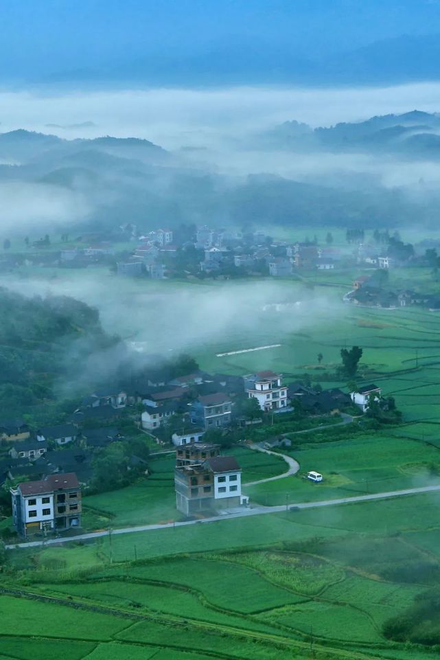 麻阳冰糖橙现摘现发,橙子采摘季麻阳冰糖橙